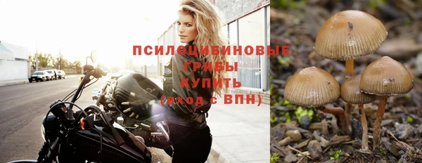 герыч Алексин