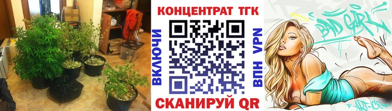 shop Telegram  блэк спрут маркетплейс  Сортавала  Дистиллят ТГК вейп 