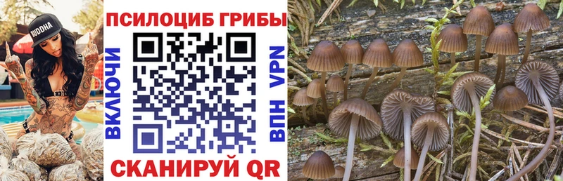 Псилоцибиновые грибы прущие грибы  ОМГ ОМГ маркетплейс  Сортавала  даркнет сайт 