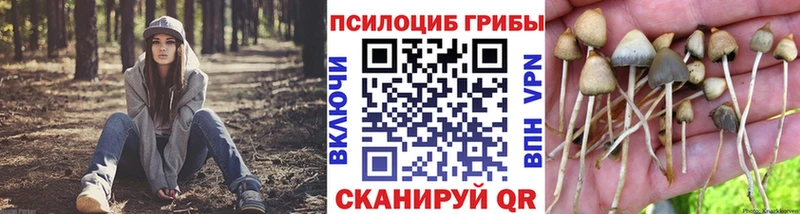 Псилоцибиновые грибы ЛСД Сортавала